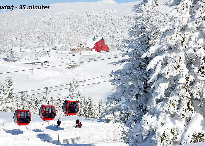 Vip Aparthotel Bursa